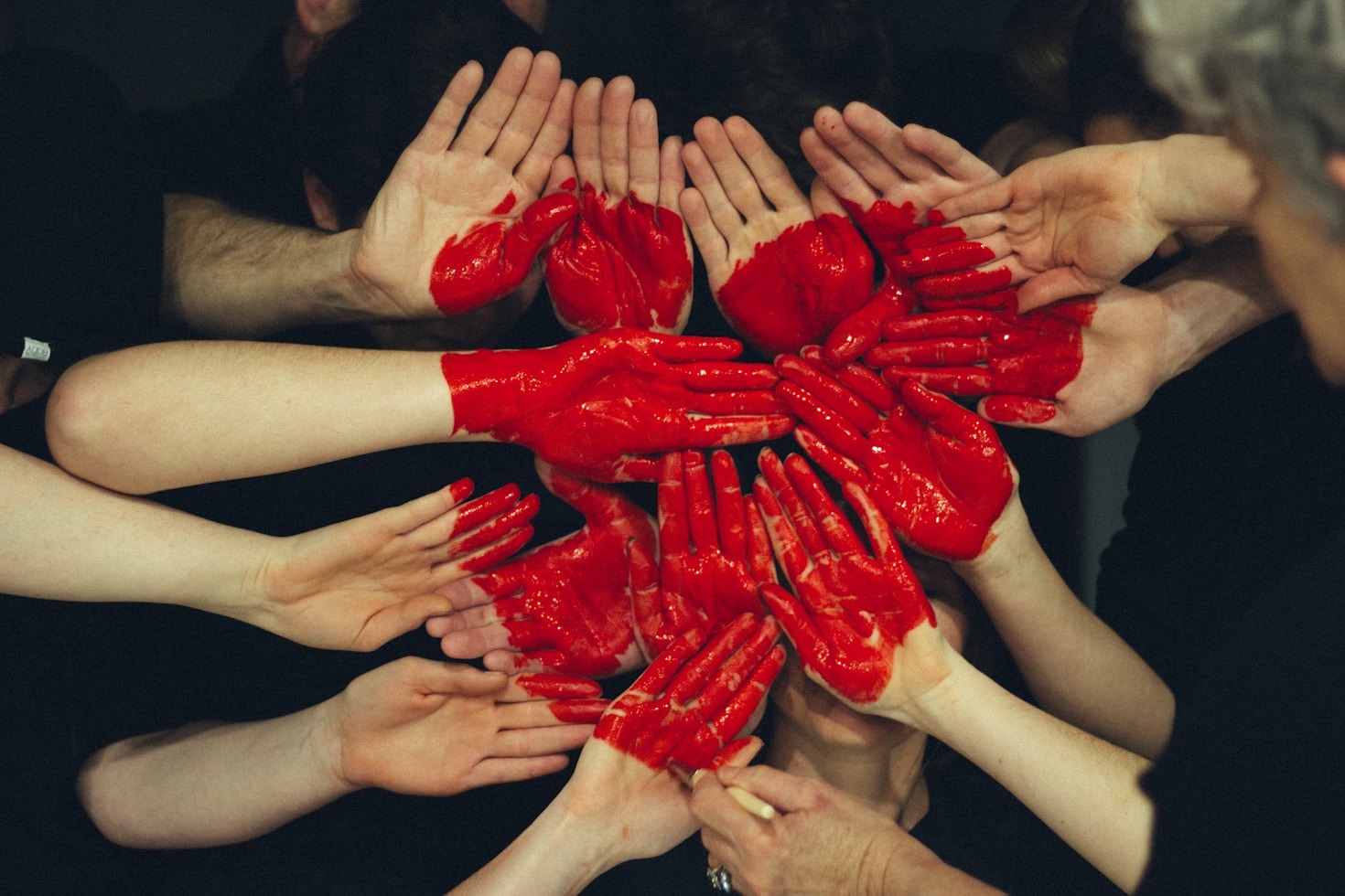 Top Initiatives Supporting Roma Inclusion in Belgrade
